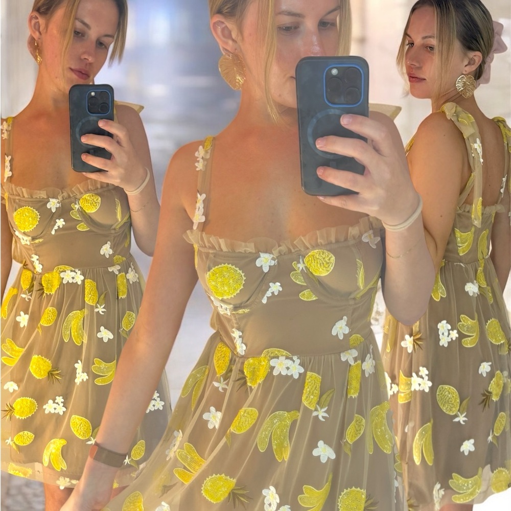 FL&L NWOT FruitPunch Dress Size Small